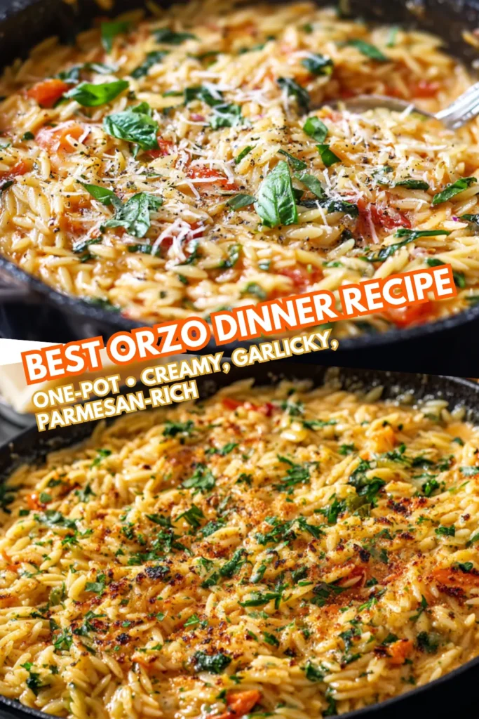 Best Orzo Dinner Recipe | Garlic Parmesan One-Pot 2 84 1